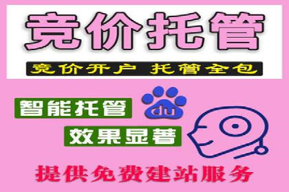 百度竞价包年推广的典型案例与效果展示