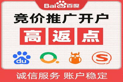 竞价广告赚钱案例：从新手到专家